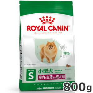 CJi ~j ChA A_g 800giŐ鏬^pt[h pj