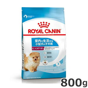 CJi ~j ChA ps[ 800giŐ鏬^pt[h qpj