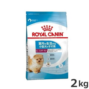 CJi ~j ChA ps[ 2kgiŐ鏬^̎qpj