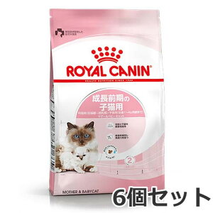 6Zbg CJi }U[xr[LbgiO̎qLpj2kg×6Zbg