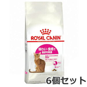 6Zbg CJi ZCo[ GNVWFgi킢EHɂLpt[h Lpj2kg×6Zbg