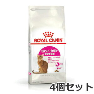 4Zbg CJi ZCo[ GNVWFgi킢EHɂLpt[h Lpj4kg×4Zbg