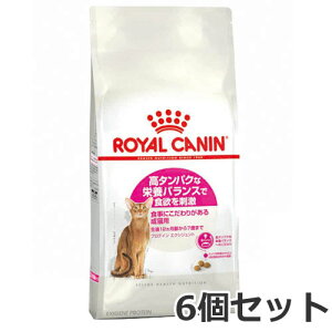 6Zbg CJi veC GNVWFgi^pNȉh{oXɂLpt[h Lpj2kg×6Zbg