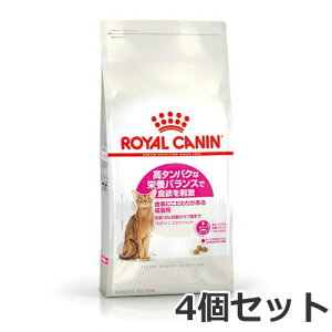 4Zbg CJi veC GNVWFgi^pNȉh{oXɂLpt[h Lpj4kg×4Zbg