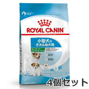 4Zbg CJi ~j X^[^[ }U[xr[hbOi^pt[h qp 2J܂ŁAꌢp DP`j3kg×4Zbg