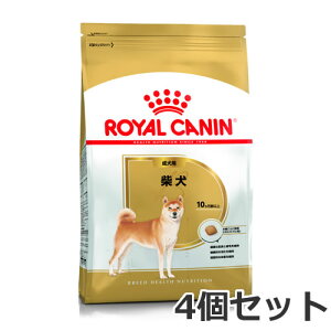 4Zbg CJi Č p 3kg×4Zbg