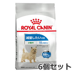 6Zbg CJi ~j Cg EFCg PAiʂp ^p `pj2kg×6Zbg