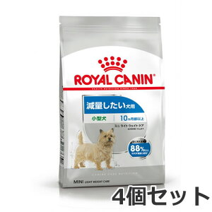 4Zbg CJi ~j Cg EFCg PAiʂp ^p `pj4kg×4Zbg