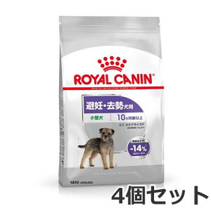 4Zbg CJi ~j XeACYhiDEp ^p `pj4kg×4Zbg