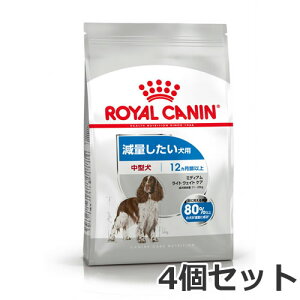 4Zbg CJi ~fBA Cg EFCg PAiʂp ^p `pj3kg×4Zbg