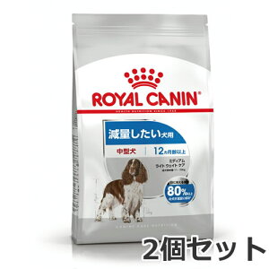 2Zbg CJi ~fBA Cg EFCg PAiʂp ^p `pj12kg×2Zbg