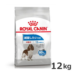 CJi ~fBA Cg EFCg PA 12kgiʂp ^p `pj