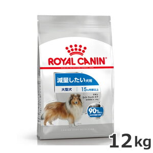 CJi }LV Cg EFCg PA 12kgiʂp ^p `pj