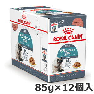 CJi wA{[PA ыʂCɂȂ鐬Lp 85g×12 EGbg pE` {[ 