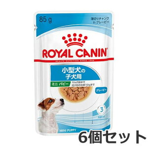 y[ցz6Zbg CJi ~j ps[ EFbg pE` ^ qp 10܂ 85g×6Zbg 