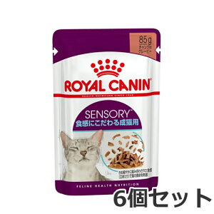 【メール便】6個セット ロイヤルカナン センサリーフィール 食感にこだわる成猫用(生後12カ月齢以上) ウェット パウチ 85g×6個セット 送料無料