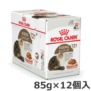 CJi GCWO12+ Lp 12Έȏ 85g×12 EGbg pE` {[ 