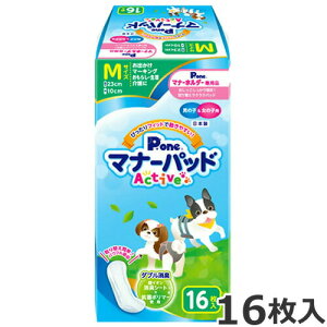 q j̎q̎qp }i[pbh Active M 16 gC  łpi