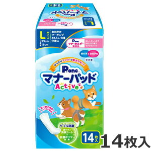 q j̎q̎qp }i[pbh Active L 14 gC  łpi