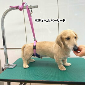 【ポスト投函】トリミング ボディヘルパーリード 犬用 保定 安定 トリマー 立たない 立てない