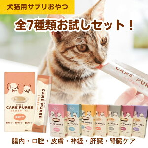 yZbgzS7ރZbg PAs[  L Tv s[  |[N PA tBbV oPA `L  oPA r[t ̑PA n tPA T[ _oPA 