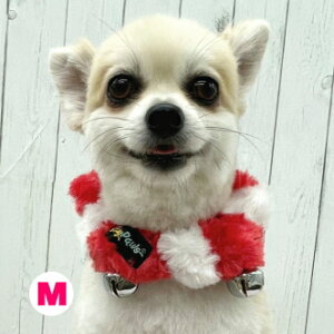 NX}X T^J[ VV S/M L  ^ ^ ^ VV ANZT[T^N[X T^   J[@RR@_炩