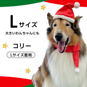 Lp T^XT^}t[Zbg L ^ ^ ^ ^ NX}X T^N[X Xq }t[