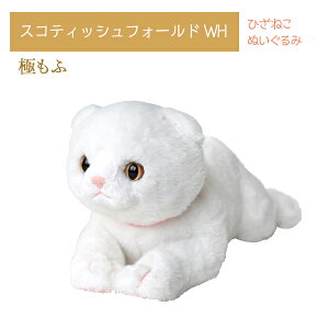 Ђ˂ ɂ v~A^b` XReBbVtH[h WH ʂ T ybgpi L I[i[ObY