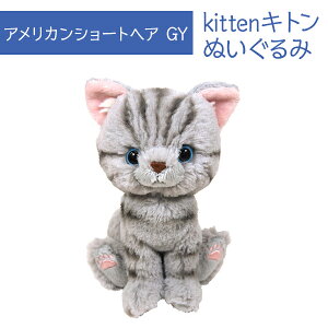 Kitten Lg AJV[gwA GY O[ ʂ I[i[ObY ybgpi L