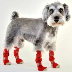 楽天市場 レインシューズ ペット ペットグッズ の通販