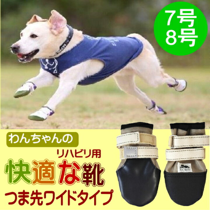 楽天市場 ポスト投函 つま先ワイド わんちゃんの 快適な靴 7号 8号 リハビリ用 2本入 ナックリング 犬用 靴 ペット 大型犬 みんな笑顔