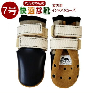 yChA78žC 񂿂́uKȌCvp 7/ 8 2{ 擾i  ^