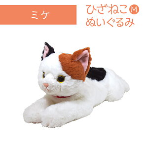 Ђ˂ M ~P ʂ ybgpi Lpi I[i[ObY