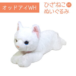 Ђ˂ M IbhAC WH ʂ ybgpi Lpi I[i[ObY