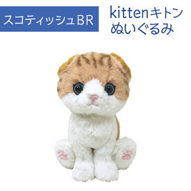 Kitten キトン スコティッシュフォールド BR ぬいぐるみ ペット用品 猫用品 オーナーグッズ