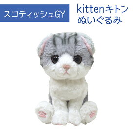 Kitten キトン スコティッシュフォールド GY ぬいぐるみ ペット用品 猫用品 オーナーグッズ