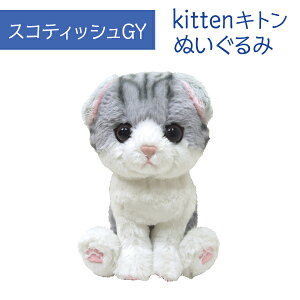 Kitten Lg XReBbVtH[h GY ʂ ybgpi Lpi I[i[ObY