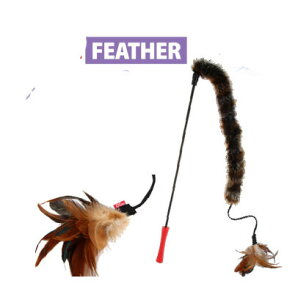 y݌ɌzLeB[eB[U[ e[tFU[ L  炵