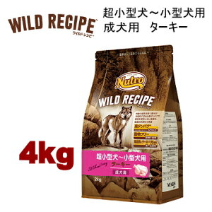 4kg j[g ChVs ^`^p p ^[L[ 4kg p hbOt[h hCt[h wrckat