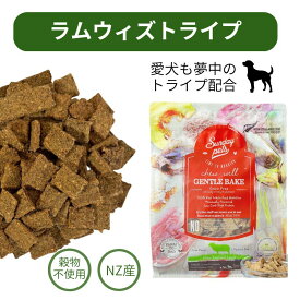 【P2倍】【賞味期限2026.11.23】犬用 サンデーペッツ ジェントルベイク ラムウィズトライプ 1.3Kg 成犬用 Sunday pets ドッグフード ドライフード 犬 小型犬 中型犬 トライプ