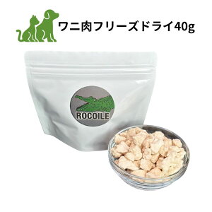 yܖ2027.1.16zj t[YhC 40g  L  t[h AM[ mxveC Vς ^pN ᎉb