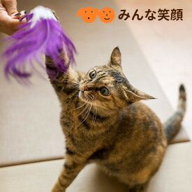 【在庫限り】猫用 おもちゃ ロングじゃらし クジャク ねこじゃらし ポンポ ペット用品 ペット　猫用品　猫