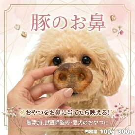 【 獣医師監修 完全無添加 】豚鼻 豚 鼻 豚肉 犬 おやつ 国産 熊本県産 低温乾燥 コラーゲン ドッグトリーツ WagZ 豚のお鼻 カリカリ 小型犬 中型犬 大型犬 SNS映え 100g 300g