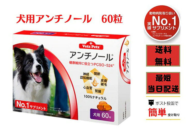 楽天市場 犬用アンチノール 60粒 健康 関節 腎臓 心血管 認知症 サプリメント 送料無料 Pcso 524 ナチュラルサプリ ペットサプリ館 楽天市場店
