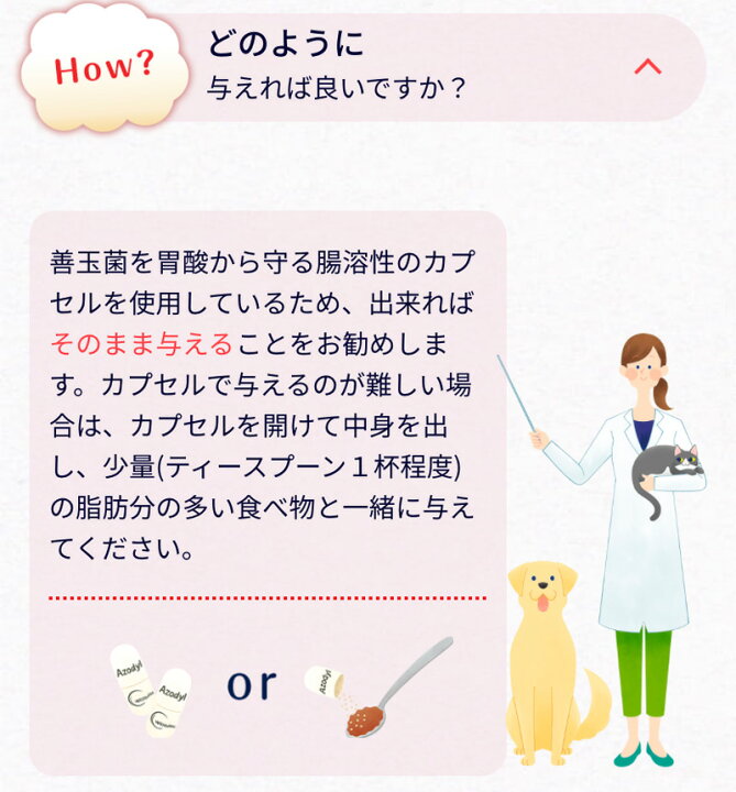 楽天市場】アゾディル 90cap 1本 犬猫用サプリメント 全国クール便送料 