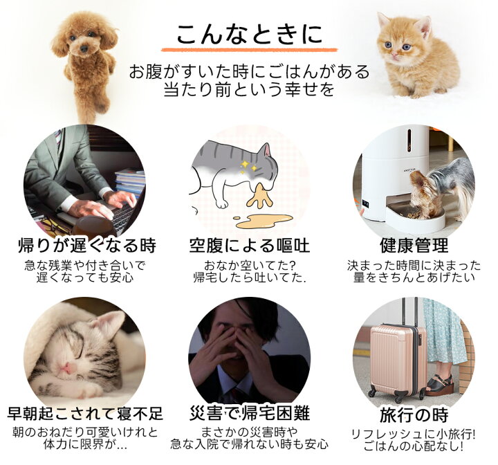 楽天市場】【今だけ800円OFF】【楽天1位】 自動給餌器 猫 PETTENA 大 