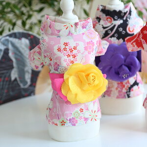 PETTENA   hbO Lbg EGA ybg  L ^ ^ ^  L  U   a a Be NNn  {iI ꒅ ЂȍՂ   | ʂ 