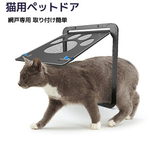 L Ԍ hA Lbg Lo ybg ybg o ̖Ԍ  hA p Rɏo JR 29*24cm bN@\t tȒP