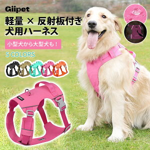 n[lX pn[lX ^ ^ ^ yʌpn[lX ˃e[vt y h~@\ xIbNXtH[hNX H ψ ϖ ߉\obNt OD