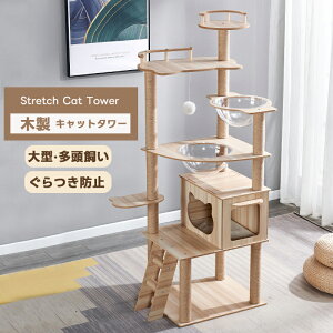 Lbg^[ ؐ ^L u L^[   iK FD nbN LnEX  ܂Ƃ lR Lp ^s XgX 萫Q ^L 170cm Lp